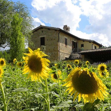 Appartamenti Verde Collina Umbra Беванья Экстерьер фото