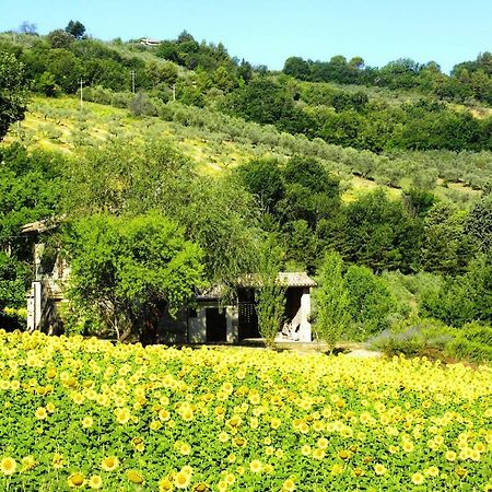 Appartamenti Verde Collina Umbra Беванья Экстерьер фото