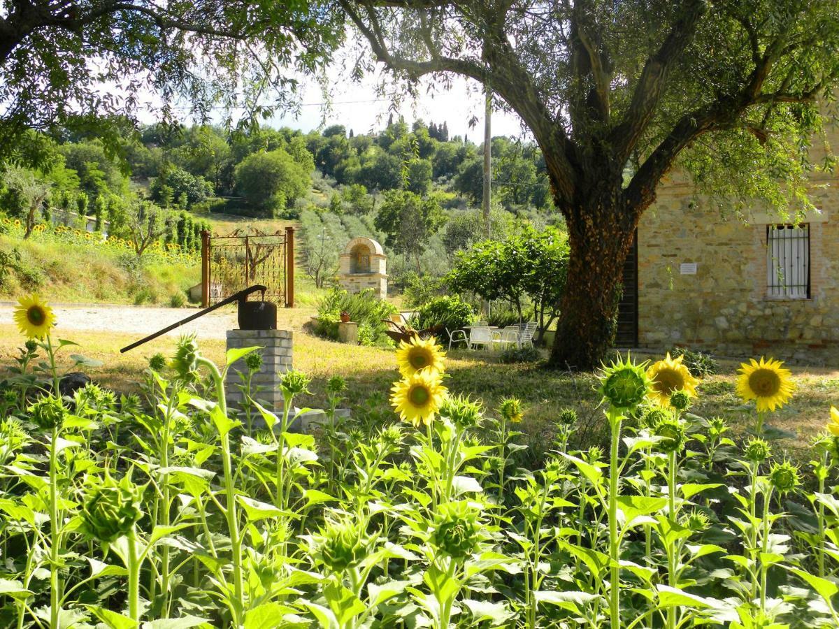 Appartamenti Verde Collina Umbra Беванья Экстерьер фото