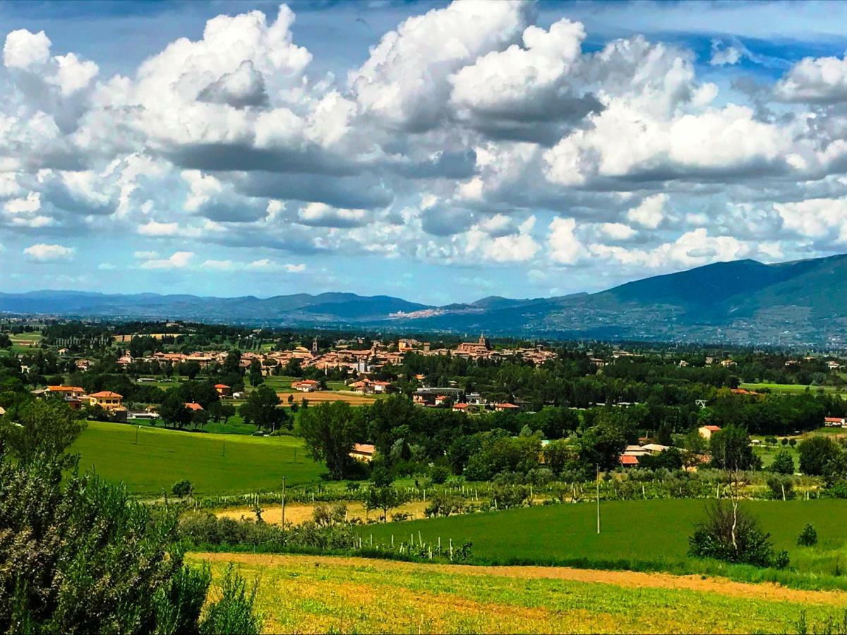 Appartamenti Verde Collina Umbra Беванья Экстерьер фото