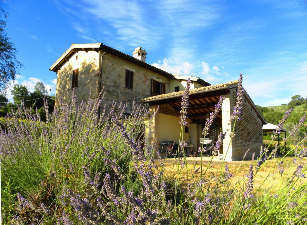 Appartamenti Verde Collina Umbra Беванья Экстерьер фото