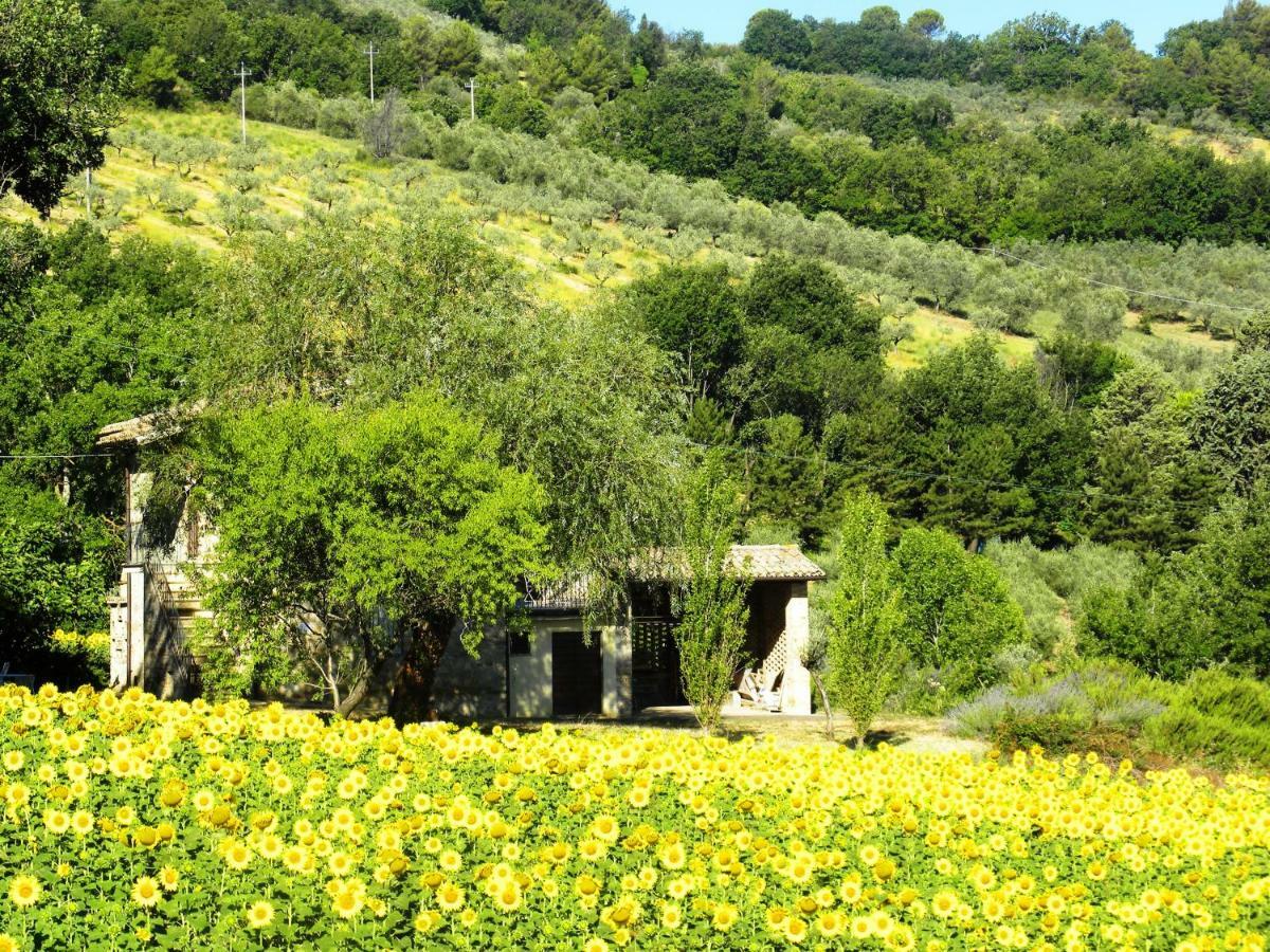 Appartamenti Verde Collina Umbra Беванья Экстерьер фото