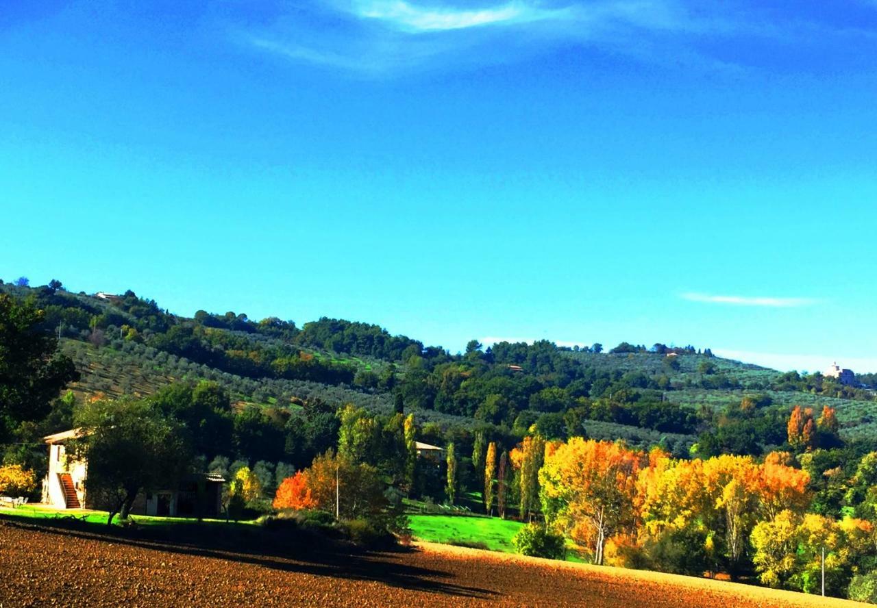 Appartamenti Verde Collina Umbra Беванья Экстерьер фото